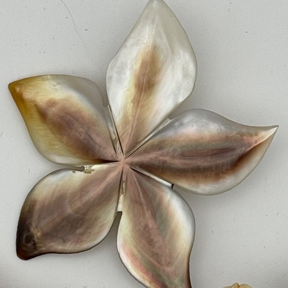 Vintage Real Sea Shell And Mother Of Pearl Jewelry Bracelet Brooches - Picture 2 of 11